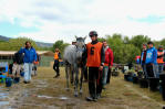 Vencedor de la pruba 120 km. relajando al caballo para pasar el &uacute;ltimo control veterinario.