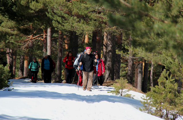 Camino al Tejo Milenario
