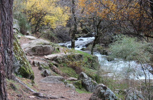 Paseo a la Cascada del Purgatorio