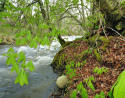 R&iacute;o Lozoya