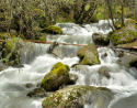 R&iacute;o Lozoya Rascafria